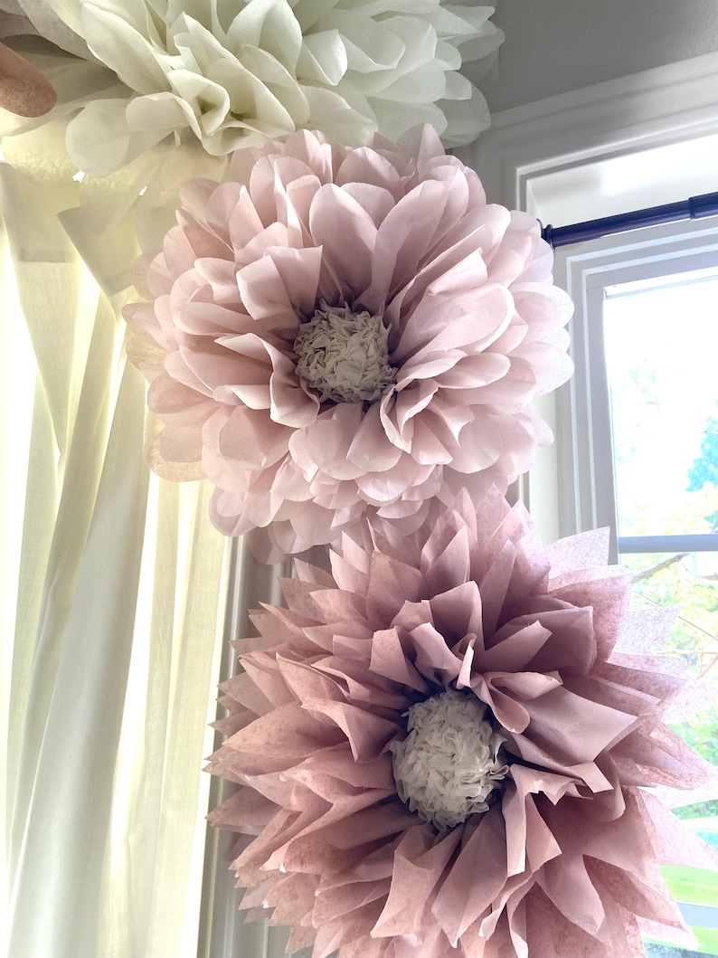 May include: Three large tissue paper flowers in shades of pink and white. The flowers are hanging from a white curtain and a window.