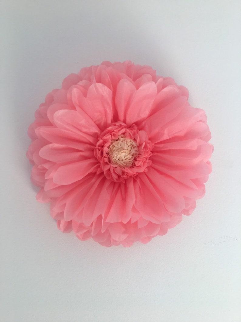 Puede incluir: Una flor de papel grande, redonda, de color rosa coral, con p&eacute;talos en capas y un centro de color beige claro. La flor est&aacute; centrada sobre un fondo blanco liso, creando un contraste llamativo. Esta pieza decorativa podr&iacute;a usarse para eventos o decoraci&oacute;n del hogar.