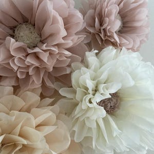 May include: A collection of tissue paper flowers in shades of pink and cream. The flowers are arranged on a white wall.