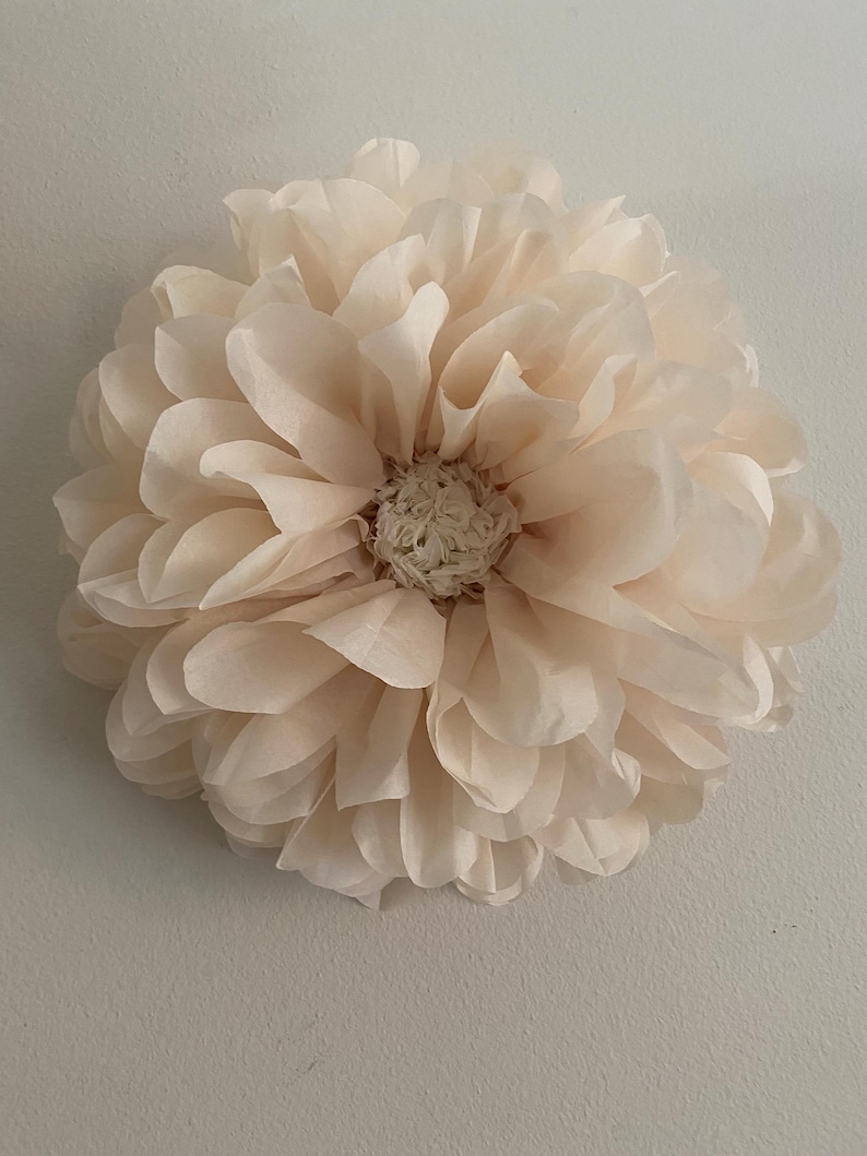 May include: A large, cream-colored paper flower with a ruffled texture. The flower is made of multiple layers of tissue paper and has a small, white center.