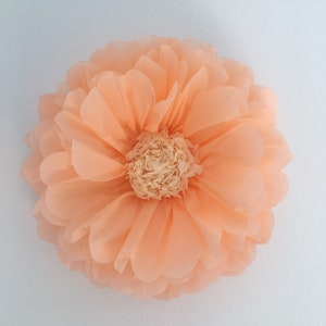 Puede incluir: Una gran flor de papel de color melocot&oacute;n con m&uacute;ltiples capas de p&eacute;talos. El centro de la flor es de un color beige m&aacute;s claro, creando un contraste. La flor es probablemente hecha a mano y adecuada para la decoraci&oacute;n.