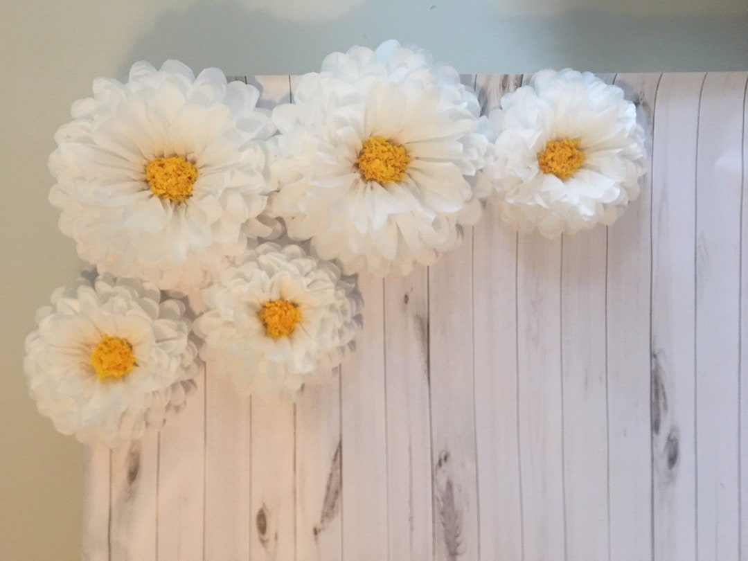 Five Large Tissue Paper Sunflowers for Photo Backdrops Rustic 