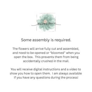 Puede incluir: La imagen muestra el texto "Macaroni Minx" y "Se requiere algo de montaje." Explica que las flores llegar&aacute;n cortadas y ensambladas, debiendo abrirse para evitar que se aplasten. Se proporcionan instrucciones digitales y un v&iacute;deo.