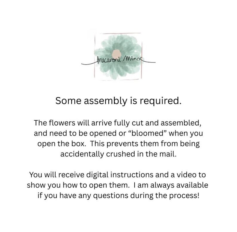 Puede incluir: La imagen muestra el texto "Macaroni Minx" y "Se requiere algo de montaje." Explica que las flores llegar&aacute;n cortadas y ensambladas, debiendo abrirse para evitar que se aplasten. Se proporcionan instrucciones digitales y un v&iacute;deo.