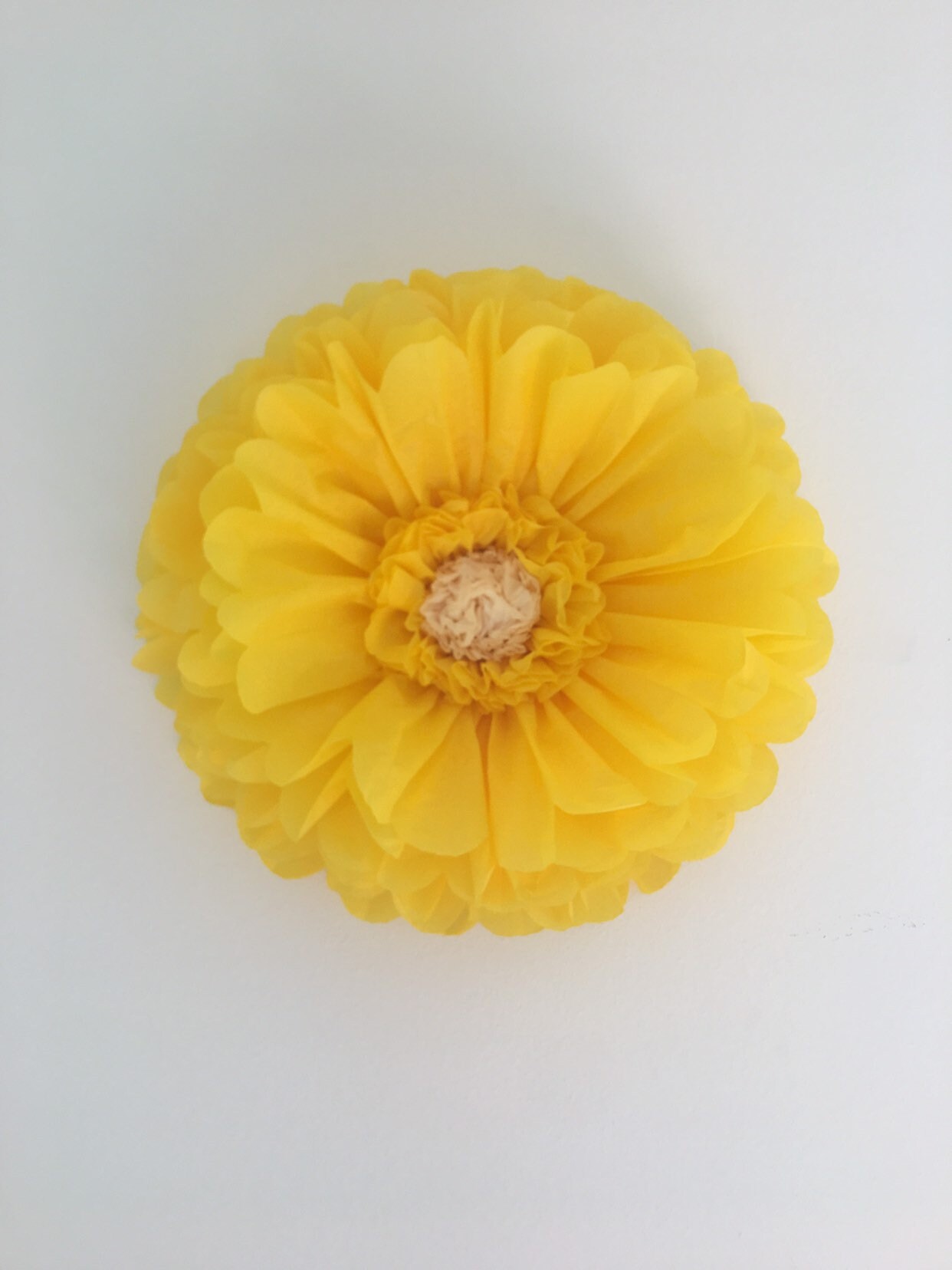 Giant Tissue Paper Flowers for Home and Nursery Decor Wall Etsy