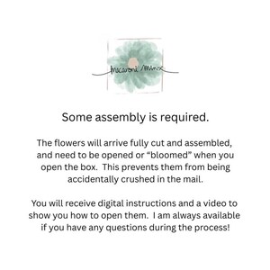 May include: The image features the text "Macaroni Minx" above the phrase "Some assembly is required." The text explains that flowers will arrive cut and assembled, needing to be opened to prevent crushing. Digital instructions and a video are provided.