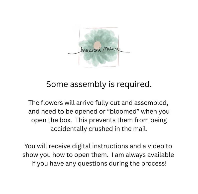 May include: The image features the text "Macaroni Minx" above the phrase "Some assembly is required." The text explains that flowers will arrive cut and assembled, needing to be opened to prevent crushing. Digital instructions and a video are provided.