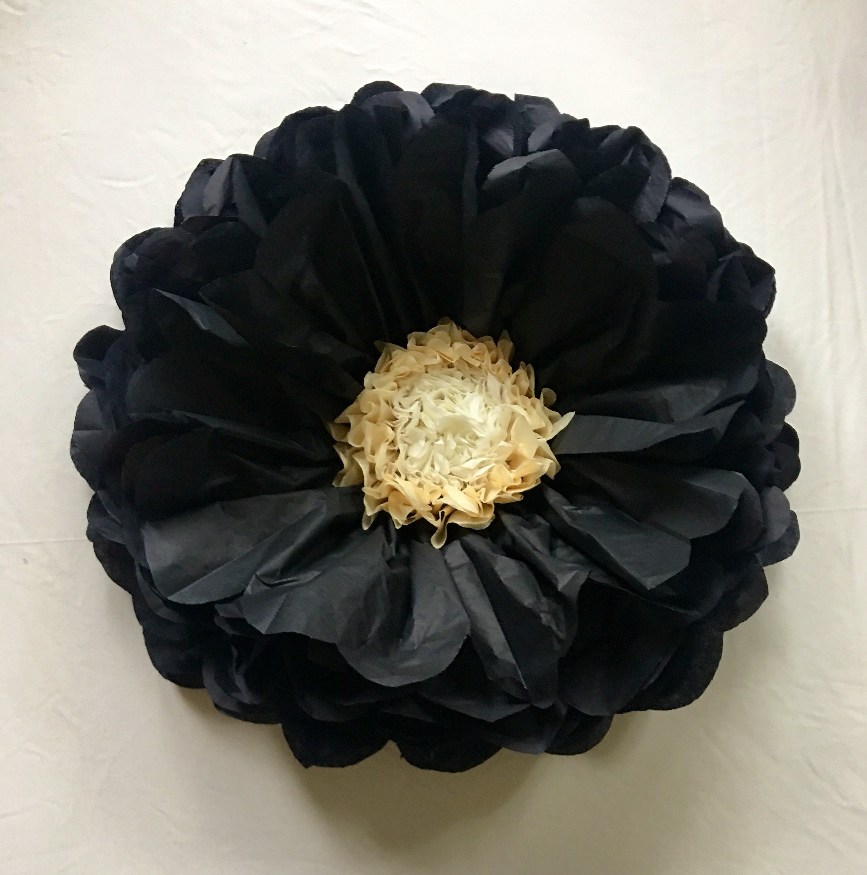 Giant Tissue Paper Flower Set in Black and Cream 