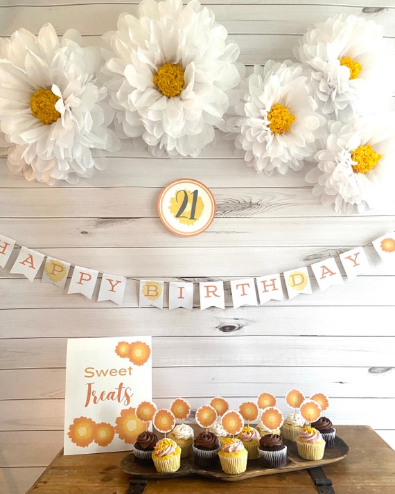 Daisy baby shower decorations sales