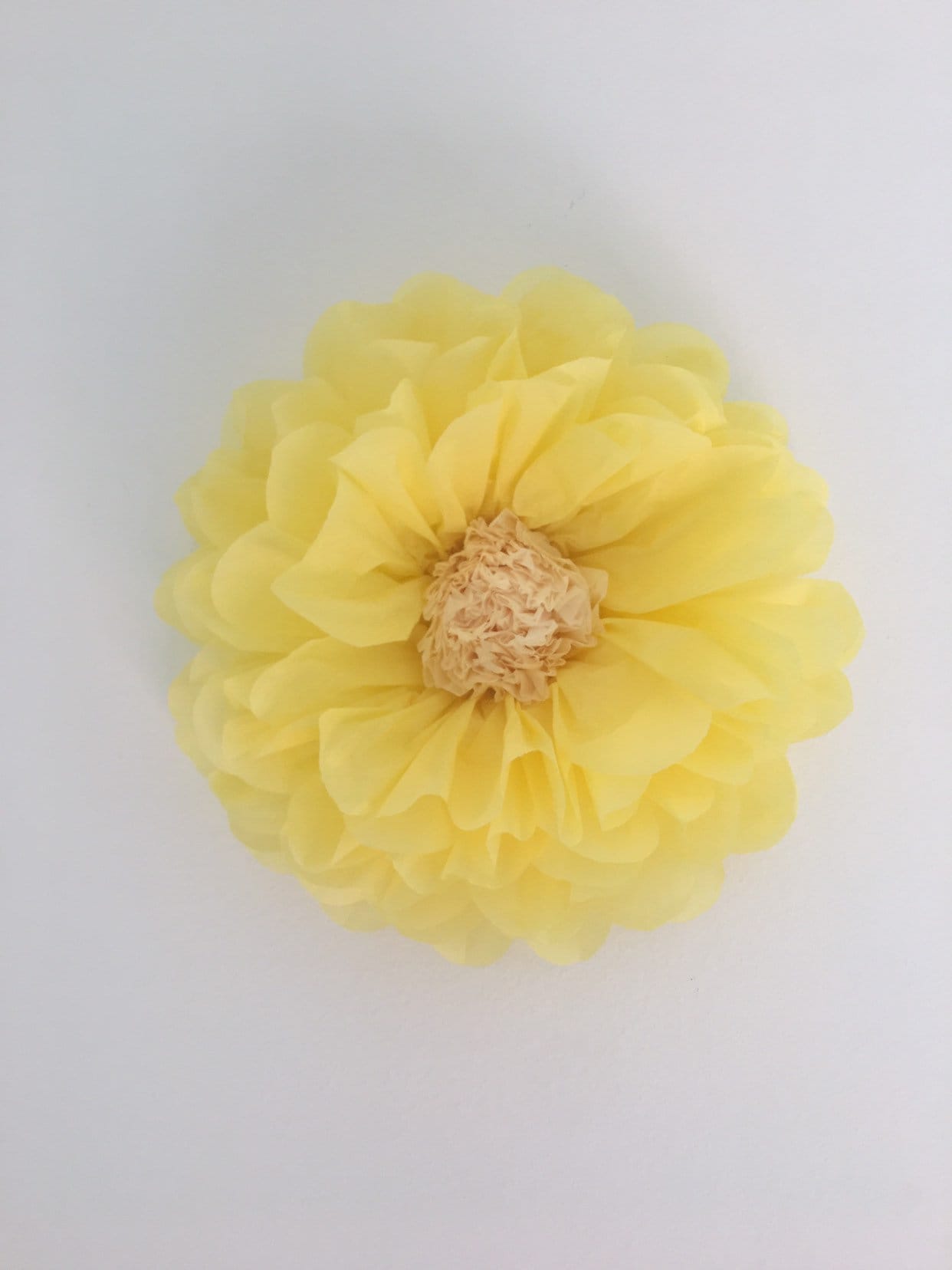 Giant Tissue Paper Flowers for Home and Nursery Decor Wall Etsy