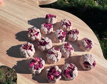 Berry Bunny Petit Fours | Homemade Rabbit Treats| Organic