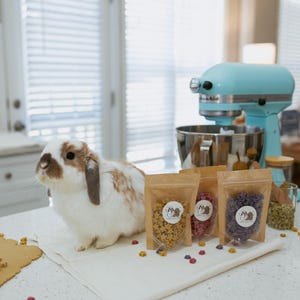 Tiny Twinkles Bunny Treats | Organic Oat Stars| Healthy Rabbit Treats- 1.4-1.5 oz bag image 2