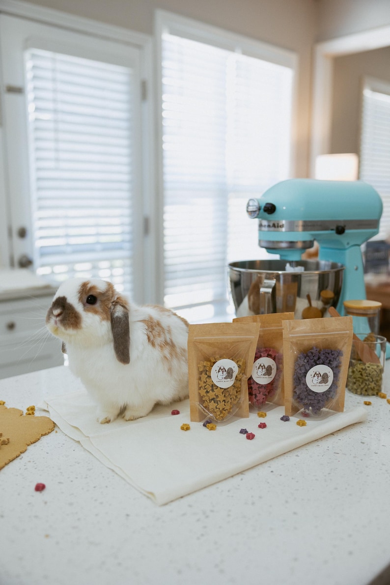Tiny Twinkles Bunny Treats | Organic Oat Stars| Healthy Rabbit Treats- 1.4-1.5 oz bag image 2