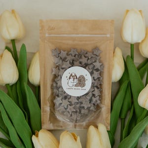 Tiny Twinkles Bunny Treats | Organic Oat Stars| Healthy Rabbit Treats- 1.4-1.5 oz bag Blueberry/Lavender