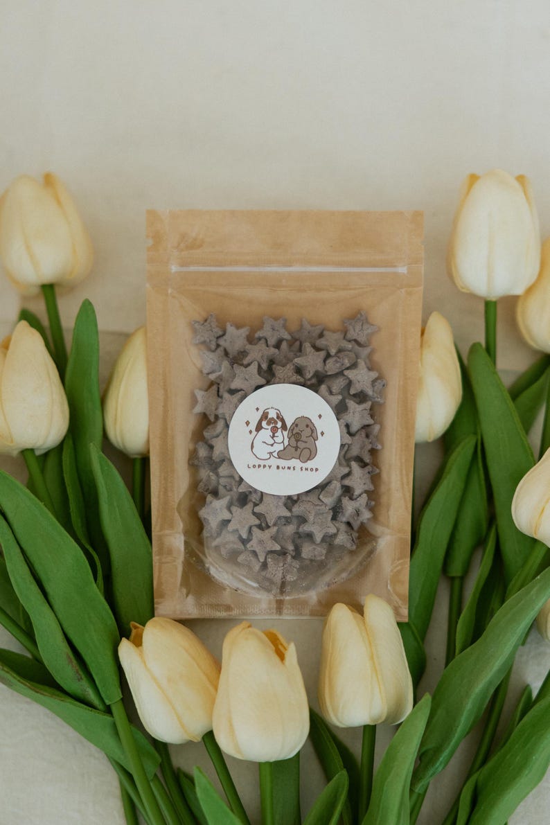 Tiny Twinkles Bunny Treats | Organic Oat Stars| Healthy Rabbit Treats- 1.4-1.5 oz bag Blueberry/Lavender