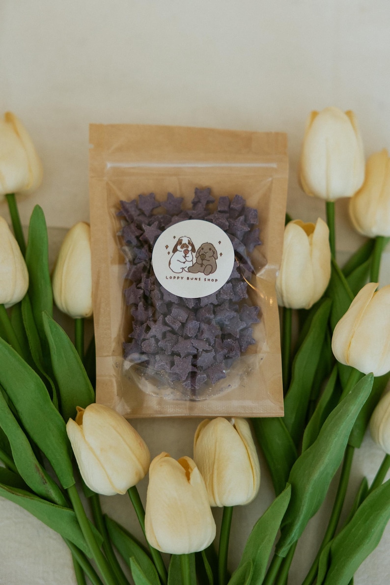 Tiny Twinkles Bunny Treats | Organic Oat Stars| Healthy Rabbit Treats- 1.4-1.5 oz bag Wild Blueberry