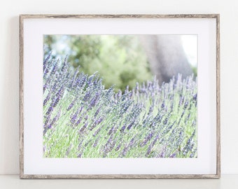 Lavender Print, Farmhouse Wall Art, Bathroom Wall Art, Flower Prints, Rustic Farmhouse Picture, Purple Pastel Decor, Country Photograph