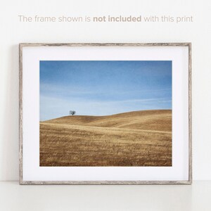 Print of a lone tree on a hill in Santa Ynez Valley