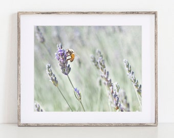 Pastel Wall Decor, Purple Living Room Art, Lavender Wall Decor, Honey Bees Photo Print, Nature Photography - Lavender For Bees