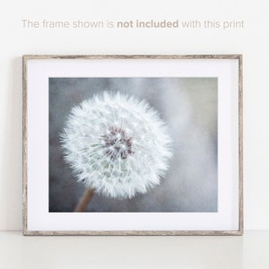 Dandelion Wall Art - Neutral Colors Decor - Botanical Nature Photography - Grey Flower Picture - Floral Print