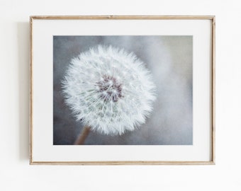 Dandelion Wall Art - Neutral Colors Decor - Botanical Nature Photography - Grey Flower Picture - Floral Print