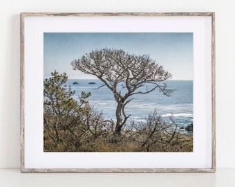 Tree Prints, Tree Photography, Modern Farmhouse Decor, Rustic Wall Art, Big Sur Landscape, Landscape Photography