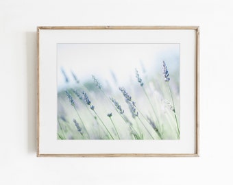 Farmhouse Wall Art, Lavender Flowers, Wild Flower Picture, Floral Wall Decor, Nature Photography, Rustic Farm Prints, Art Gift for Mom