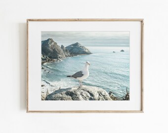 Coastal Wall Decor, Teal Wall Decor, Landscape Photography, Seaside photographs, Big Sur Landscape, Seagull photos  - Lobster Mornay For Tea