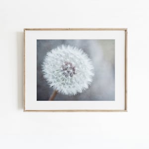 Dandelion Wall Art - Neutral Colors Decor - Botanical Nature Photography - Grey Flower Picture - Floral Print