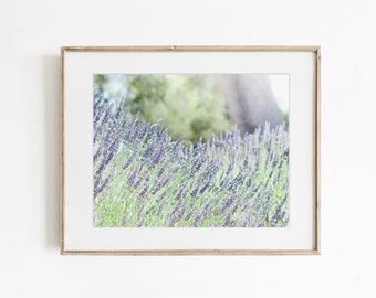 Lavender Print, Farmhouse Wall Art, Bathroom Wall Art, Flower Prints, Rustic Farmhouse Picture, Purple Pastel Decor, Country Photograph