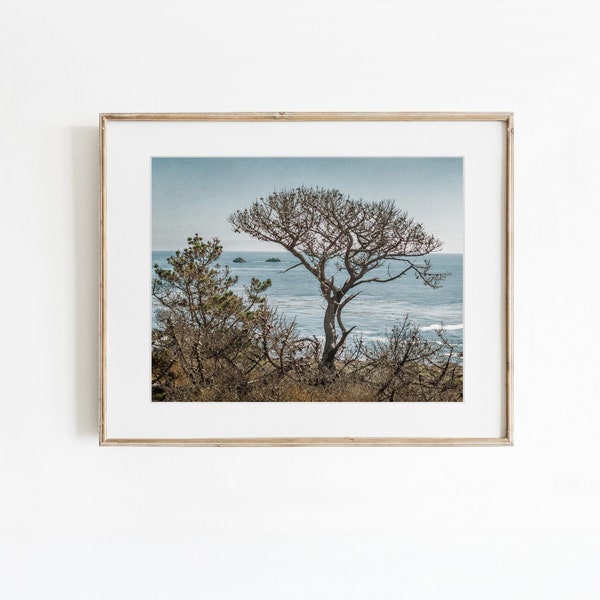Tree Prints, Tree Photography, Modern Farmhouse Decor, Rustic Wall Art, Big Sur Landscape, Landscape Photography