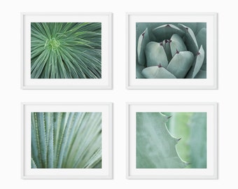 Set of 4 Prints - Green Wall Art - Succulent Picture - Botanical Wall Decor - Cactus Wall Art - Southwestern Decor