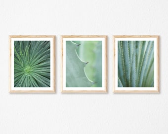 Set of 3 Prints, Green Succulent Prints, Botanical Photography, Cactus Prints, Abstract Print Set, Southwestern Wall Art