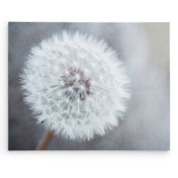 Dandelion Wall Art Etsy