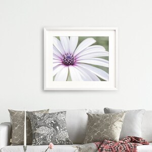 Daisy Petal Print, Modern Botanical Art, Abstract Floral Decor, White Flower Print, Botanical Wall Decor