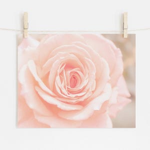 Pink Wall Decor, Shabby Chic Wall Art, Pink Kitchen Art, Nature Photography, Pink Flower Prints, Floral Print, Soft Pink Decor, Bedroom art Unframed