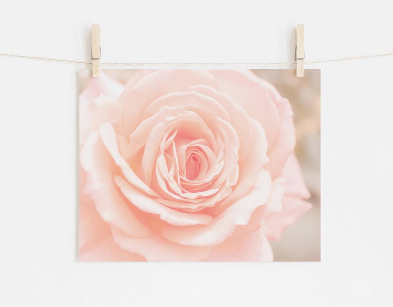 Pink Wall Decor, Shabby Chic Wall Art, Pink Kitchen Art, Nature Photography, Pink Flower Prints, Floral Print, Soft Pink Decor, Bedroom art Unframed
