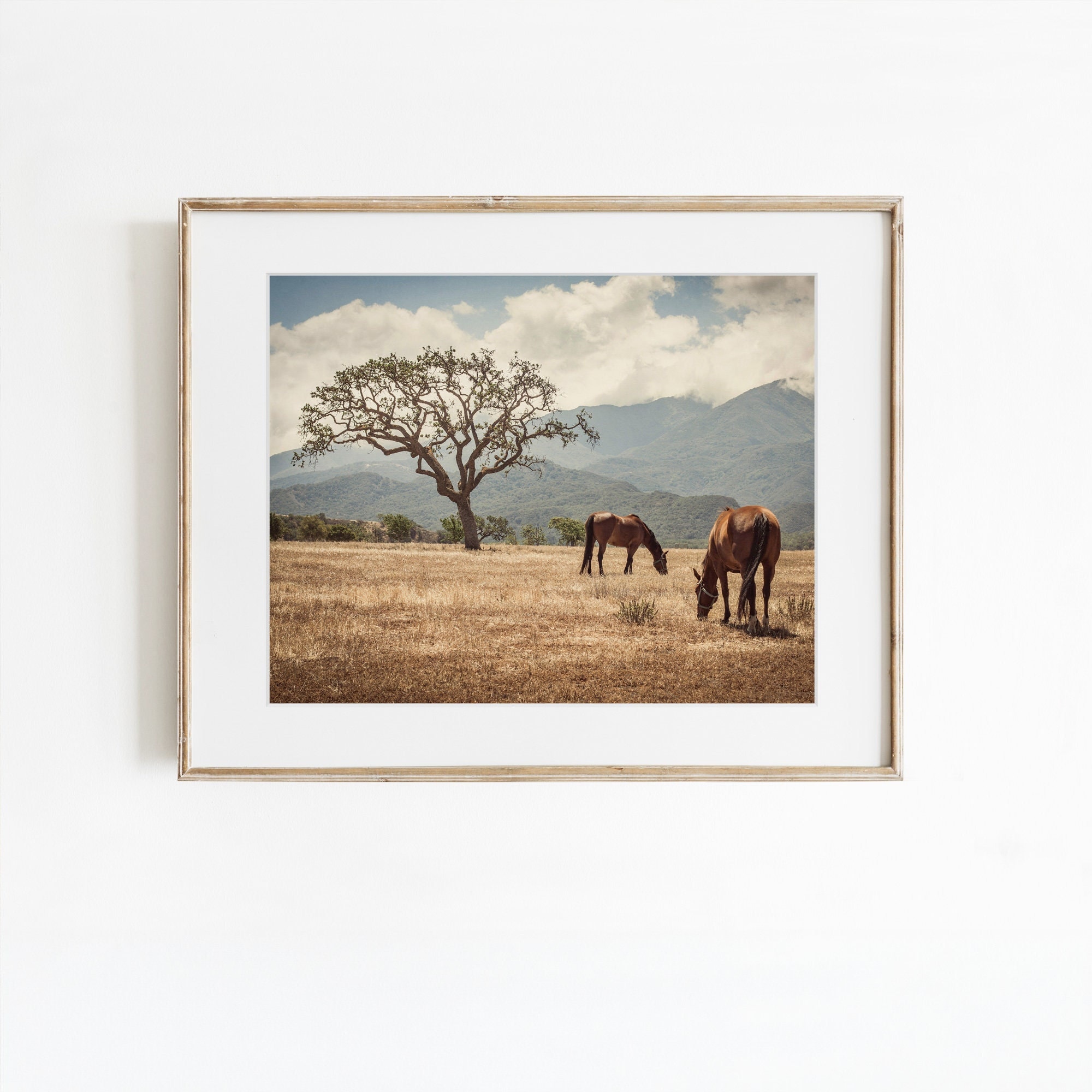 Horse Prints, Santa Ynez Valley Art, Oak Tree Photography, Wine Country Wall Art, Modern Farmhouse Prints