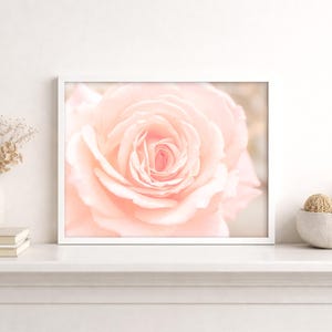 Pink Wall Decor, Shabby Chic Wall Art, Pink Kitchen Art, Nature Photography, Pink Flower Prints, Floral Print, Soft Pink Decor, Bedroom art Framed (White)