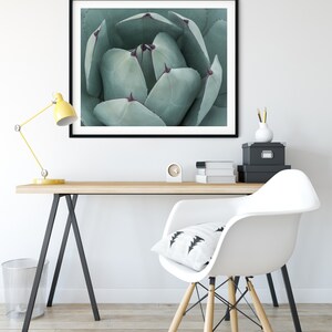 Teal Green Print, Botanical Wall Decor, Fine Art Photography, Succulent Photography, Southwestern Prints image 3