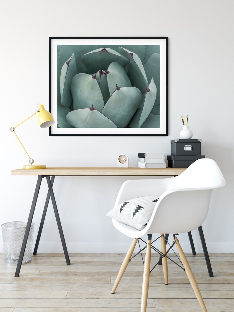 Teal Green Print, Botanical Wall Decor, Fine Art Photography, Succulent Photography, Southwestern Prints image 3