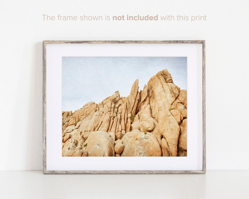 Set of 4 Prints - Joshua Tree Wall Art - California Photography - Southwestern Prints - Desert Wall Decor - Landscape Photographs image 3