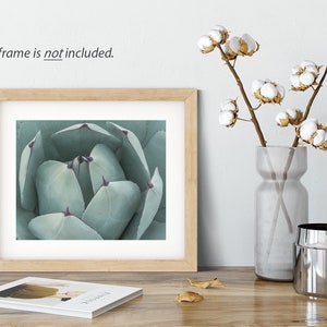Teal Green Print, Botanical Wall Decor, Fine Art Photography, Succulent Photography, Southwestern Prints image 7