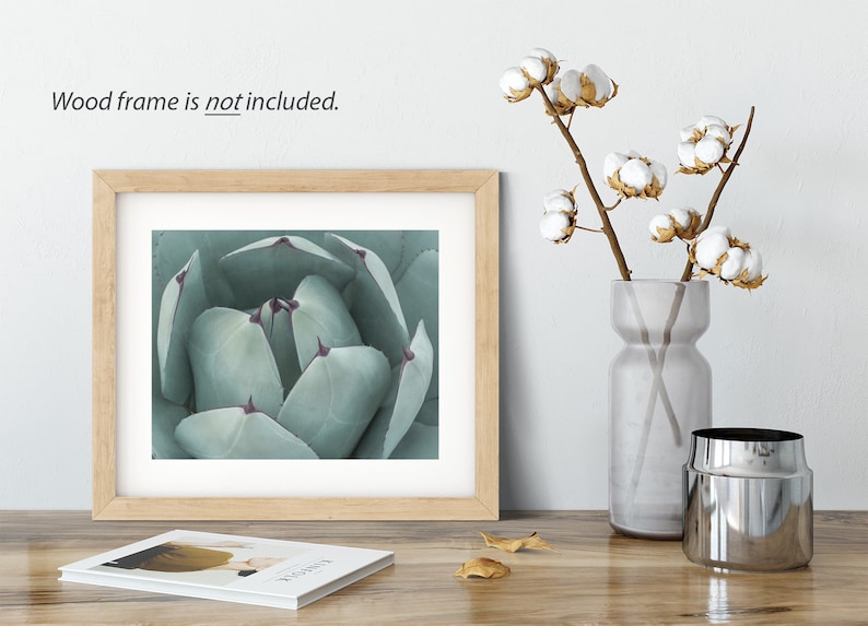 Teal Green Print, Botanical Wall Decor, Fine Art Photography, Succulent Photography, Southwestern Prints image 7