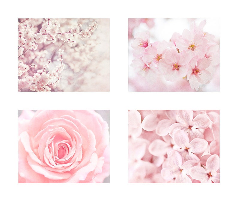 Set of 4 Prints Pink Wall Art Flower Photography Floral | Etsy