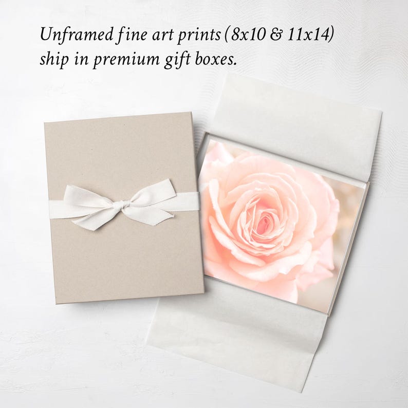 Pink Wall Decor, Shabby Chic Wall Art, Pink Kitchen Art, Nature Photography, Pink Flower Prints, Floral Print, Soft Pink Decor, Bedroom art image 3