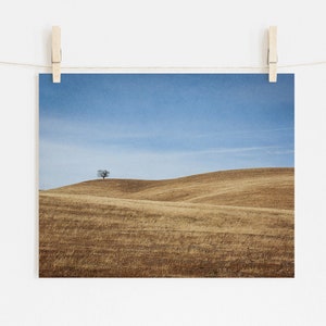 California Landscape Photography, Santa Ynez Valley, Golden Brown Wall Art, Minimalist landscape Art, Central Coast Prints Print Only