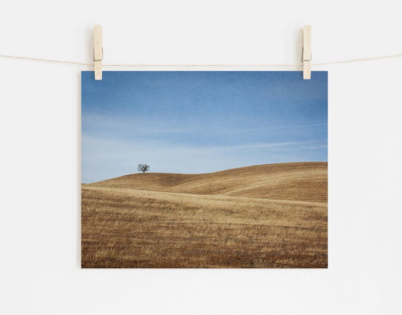 California Landscape Photography, Santa Ynez Valley, Golden Brown Wall Art, Minimalist landscape Art, Central Coast Prints Print Only