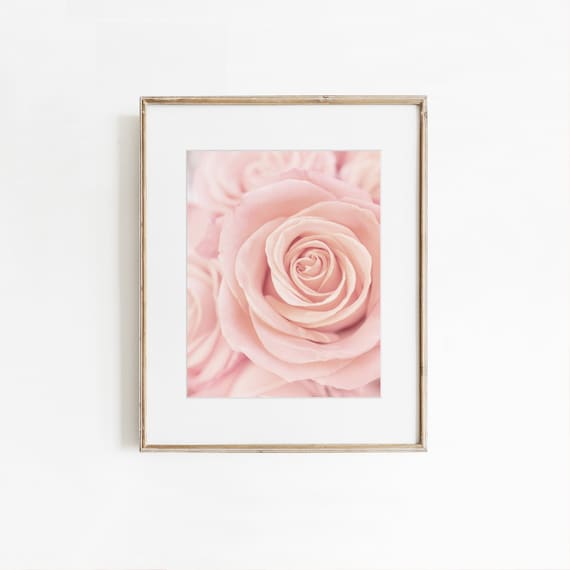 Pink Rose Wall Decor, Shabby Chic Wall Art, Floral Print, Botanical Wall Art , Pink Flower Prints, Soft Pink Decor, Guest Bedroom Art