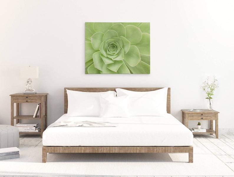 Large Canvas Print Sage Green Wall Art Botanical Etsy